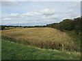 Stubble field near North Laiths