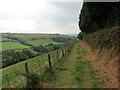 Heol las ger Ffarm Llwyngronw / Green lane near Llwyngronw Farm