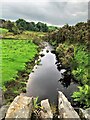 Afon Irwch facing SSE