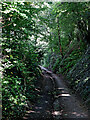 Digbeth Lane west of Claverley in Shropshire