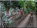 Sandstone exposure in Digbeth Lane near Claverley