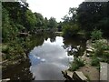 SD6313 : Lake in the Japanese Garden, Rivington Terraced Gardens by Greum