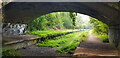 Underside of Bridge, West Meon Trail