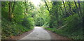 Access Road to West Meon Trail