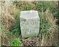 ST2264 : War Department Boundary Stone No35 by Adrian Dust