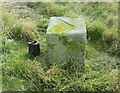 ST2265 : War Department Boundary Stone No6 by Adrian Dust