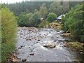 River Dulnain, Ellan