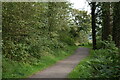 Woodland path around Wistlandpound Reservoir