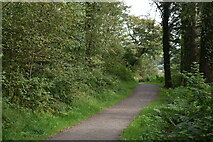 SS6441 : Woodland path around Wistlandpound Reservoir by David Martin
