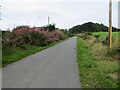 Minor road approaching Bents