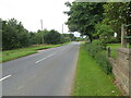 Road (A944) near Kirkwood