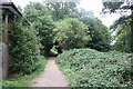 Path in Hampstead Heath Extension