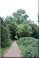 Path in Hampstead Heath Extension