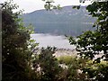 NH5934 : Loch Ness, Dores by Richard Webb