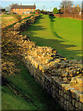 NZ1366 : Hadrian's Wall east of Heddon on the Wall by Andrew Curtis