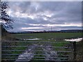 View from Silver Moor Lane