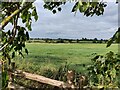 Farmland at Stapleton