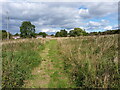 An informal path in the field