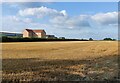 Farmland along Cottage Lane in Broughton Astley