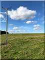 Electricity Poles Crossing Farmland