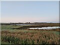 ST3047 : Tidal pond beside River Brue Estuary from NCN33 by Kevin Pearson