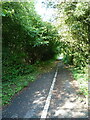 Dark Lane on Stafford Park