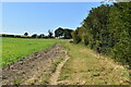 TR1235 : Footpath along field boundary by N Chadwick