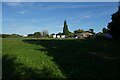 Shadows near Bradbourne Farm