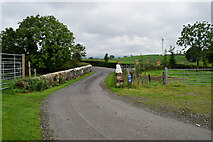 H4969 : Former railway bridge, Edenderry by Kenneth  Allen