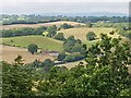 View west from Kinver Edge