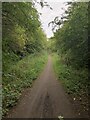 National Cycle Route 1, Former Castle Eden Branch