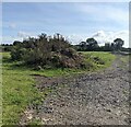 Mound in a field, Arlingham