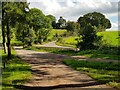 Gipsy Lane from Gipsy Lane Car Park