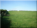 Field to the west of North Sunderland