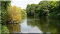 Hackney : River Lea near Hackney Marshes