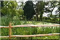 Pond, Tinley Lodge Farm