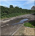 Puddle on Friday Street, Arlingham