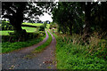 Country lane, Letfern