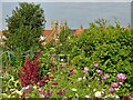 Kitchen Lane Allotments, Beverley