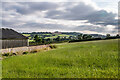 Cotteswold Crest Farm