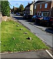 No parking on the grass, High Street, Arlingham