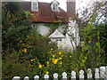 Cottage garden in Ticehurst