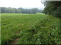 Footpath to Park Wood