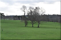 TQ6836 : Lamberhurst Golf Course by N Chadwick