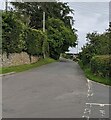 Unclassified road from Nympsfield towards Stroud