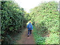 Footpath to the River Avon in Evesham