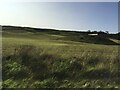 Undulating farmland