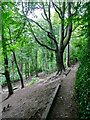 Path at the top of the valley slope, Gledhow Valley Woods, Leeds