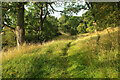 SP0733 : Path, Shenbarrow Hill by Derek Harper