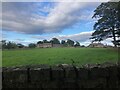 NU2517 : View across field to the School House at Howick by Philip Cornwall